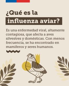 Alerta influenza aviar